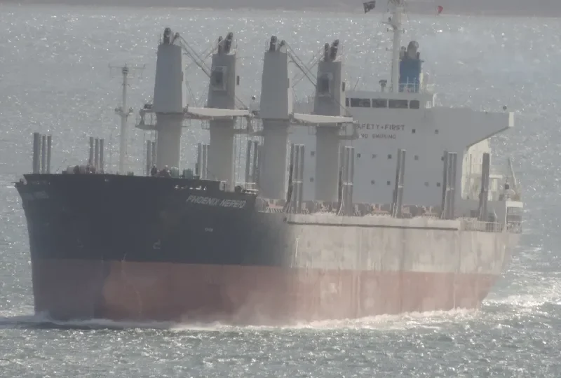 PHOENIX NEREID Bulk Carrier IMO 9586863 photo 10