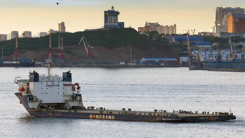 DONGBANG GIANT NO.3 General Cargo IMO 9586904 photo 3