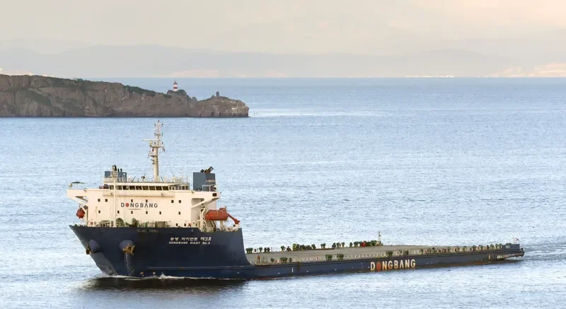 DONGBANG GIANT NO.3 General Cargo IMO 9586904 photo 4