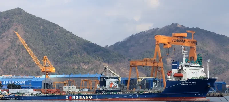DONGBANG GIANT NO.3 General Cargo IMO 9586904 photo 6