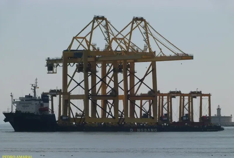 DONGBANG GIANT NO.3 General Cargo IMO 9586904 photo 10