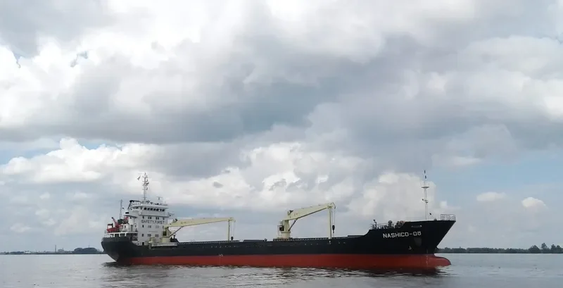 NASHICO 08 Bulk Carrier IMO 9586980 photo 7