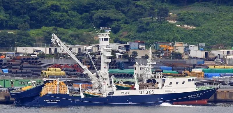 SAJO POTENTIA General Cargo IMO 9587063 photo 2