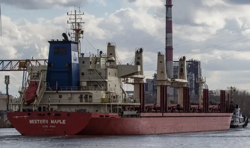 WESTERN MAPLE Bulk Carrier IMO 9587154