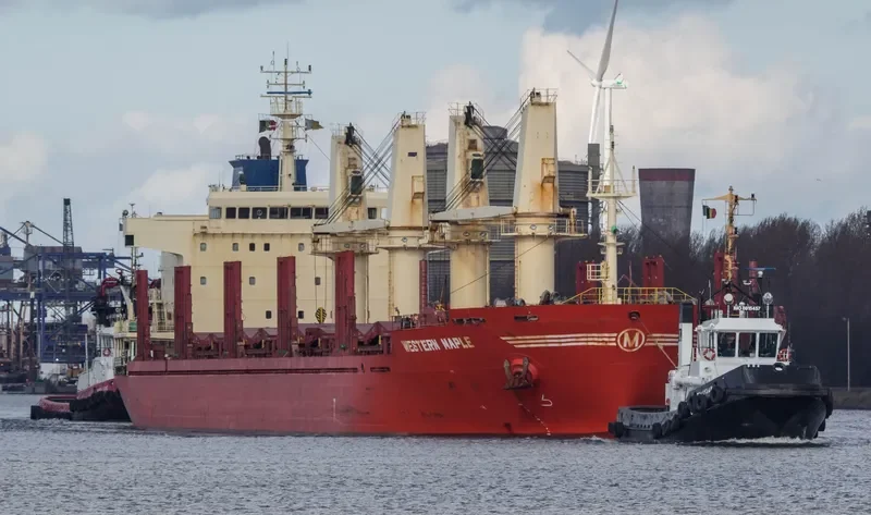 WESTERN MAPLE Bulk Carrier IMO 9587154 photo 2