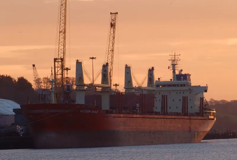 WESTERN MAPLE Bulk Carrier IMO 9587154 photo 3