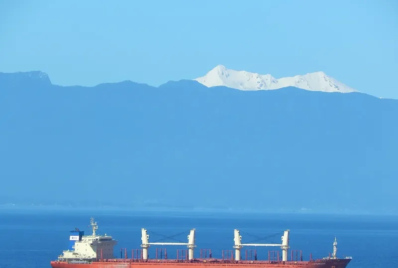 WESTERN MAPLE Bulk Carrier IMO 9587154 photo 7