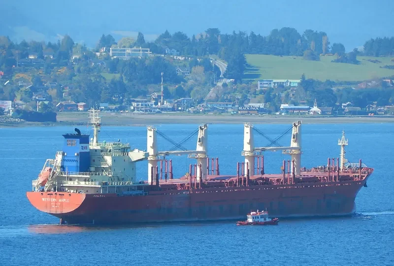 WESTERN MAPLE Bulk Carrier IMO 9587154 photo 8