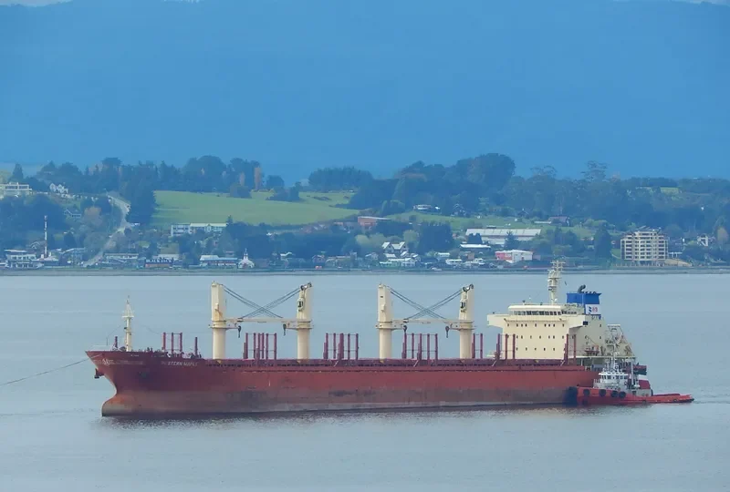WESTERN MAPLE Bulk Carrier IMO 9587154 photo 9