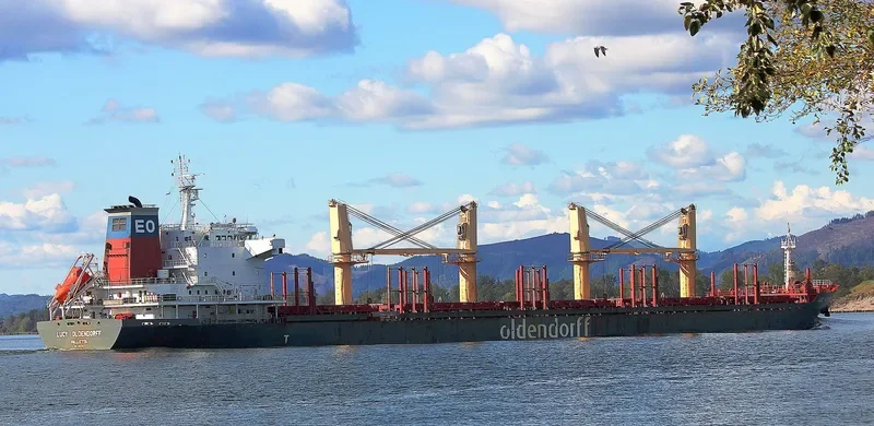 HONG KONG SPIRIT Bulk Carrier IMO 9587166 photo 2