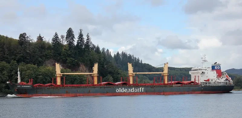 HONG KONG SPIRIT Bulk Carrier IMO 9587166 photo 4