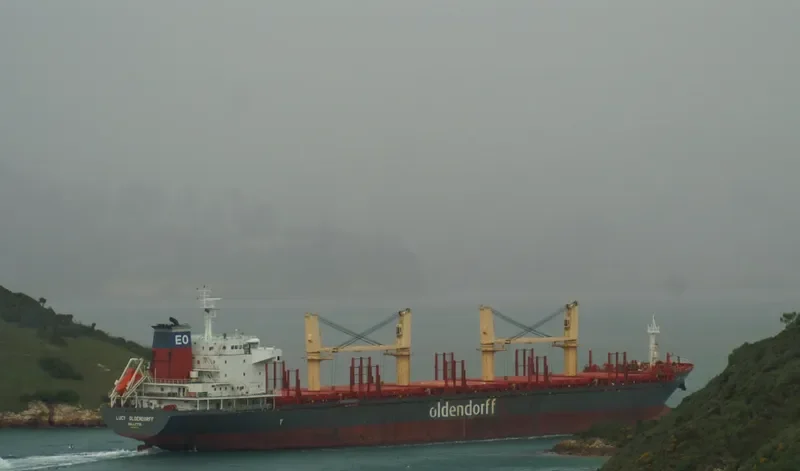 HONG KONG SPIRIT Bulk Carrier IMO 9587166 photo 8