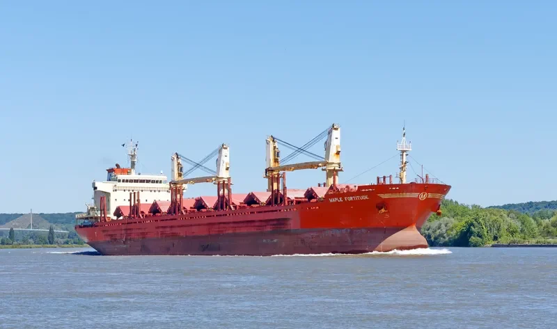 MAPLE FORTITUDE Bulk Carrier IMO 9587178