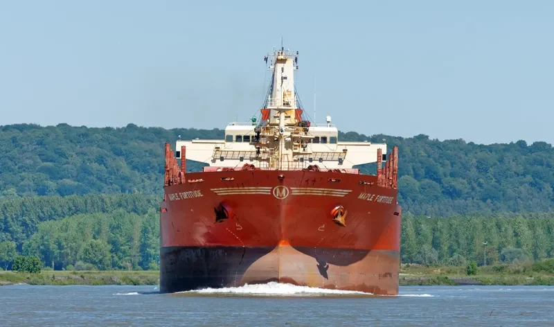 MAPLE FORTITUDE Bulk Carrier IMO 9587178 photo 3