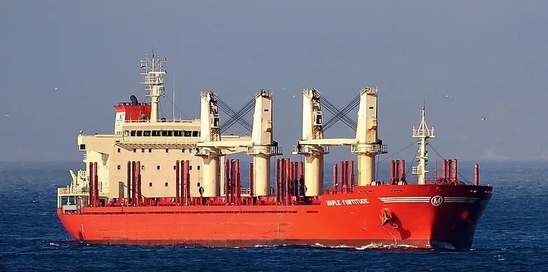 MAPLE FORTITUDE Bulk Carrier IMO 9587178 photo 4