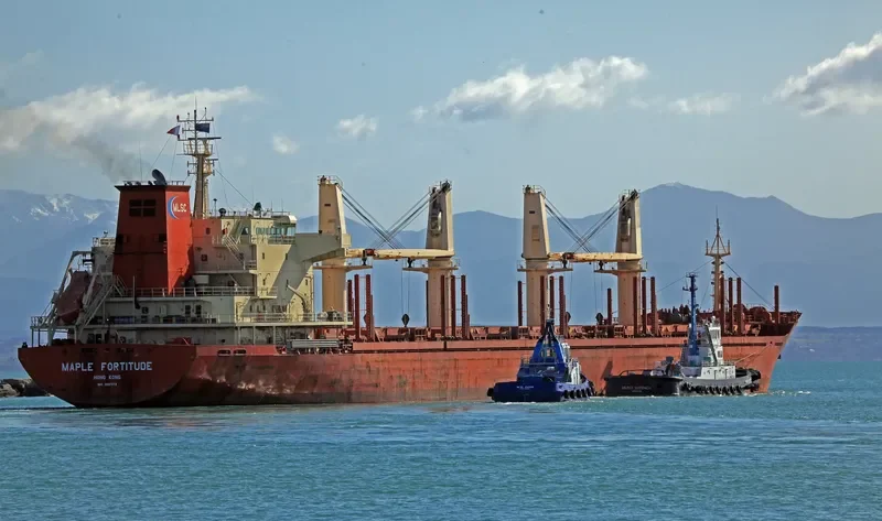 MAPLE FORTITUDE Bulk Carrier IMO 9587178 photo 5