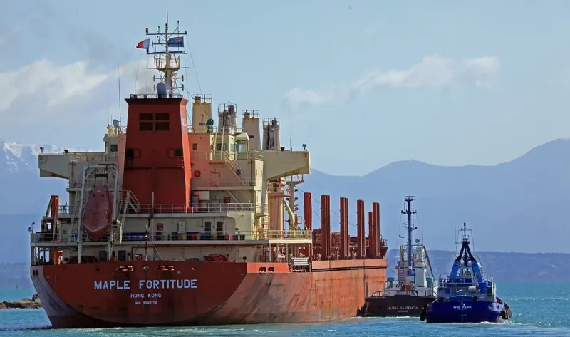 MAPLE FORTITUDE Bulk Carrier IMO 9587178 photo 6