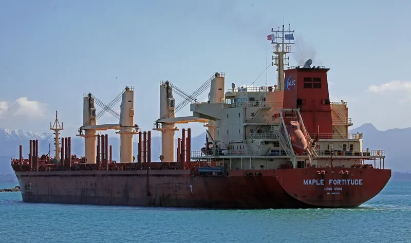 MAPLE FORTITUDE Bulk Carrier IMO 9587178 photo 8