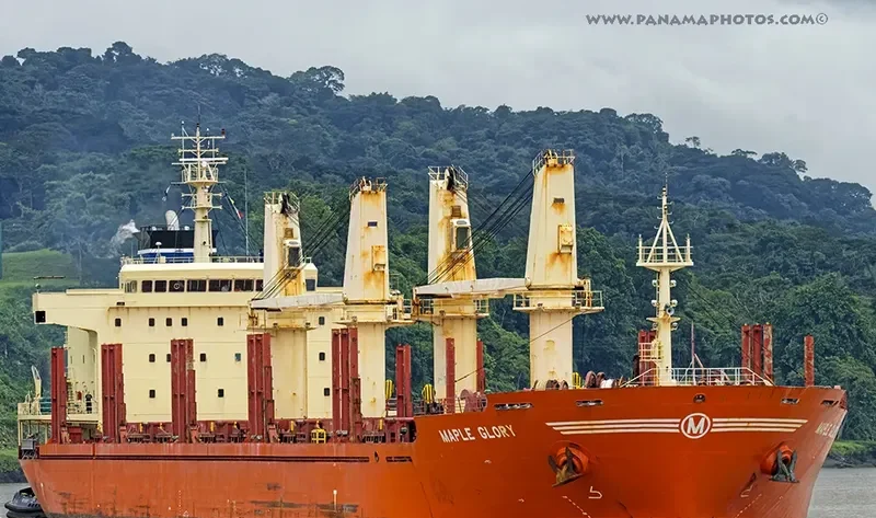 MAPLE GLORY Bulk Carrier IMO 9587180 photo 2