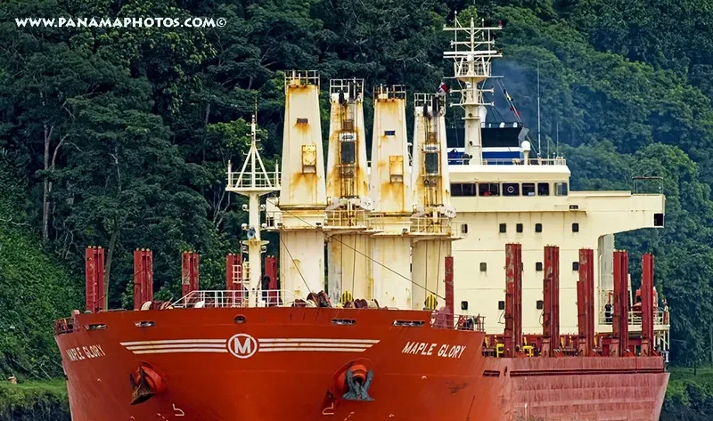 MAPLE GLORY Bulk Carrier IMO 9587180 photo 3