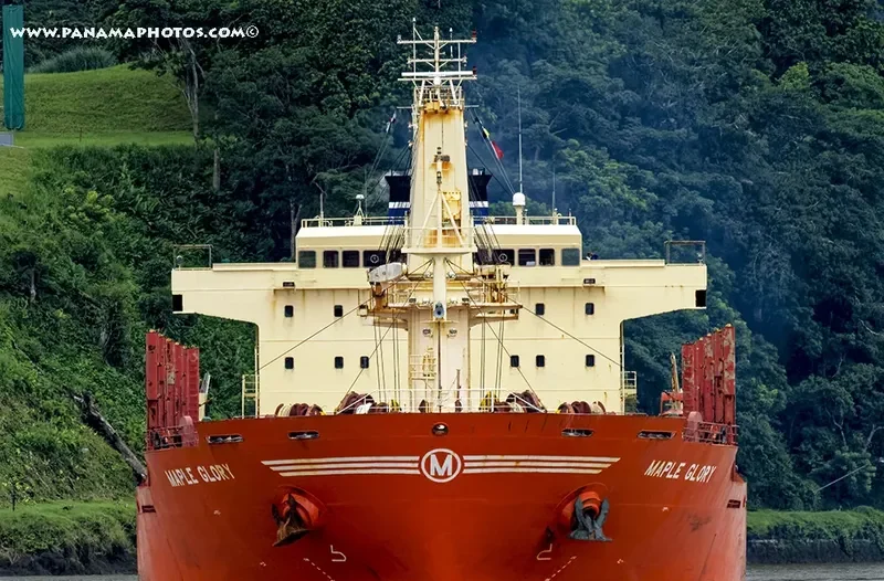 MAPLE GLORY Bulk Carrier IMO 9587180 photo 4