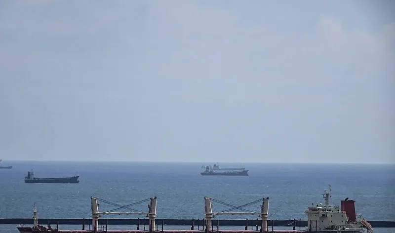 MAPLE GLORY Bulk Carrier IMO 9587180 photo 5