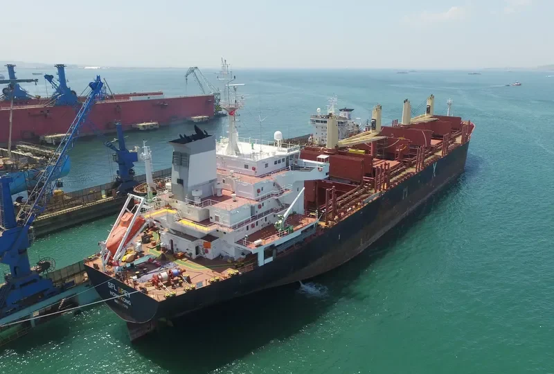 CLIPPER SPEY Bulk Carrier IMO 9587219 photo 6