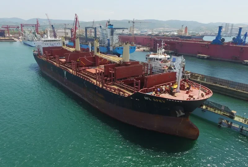 CLIPPER SPEY Bulk Carrier IMO 9587219 photo 9