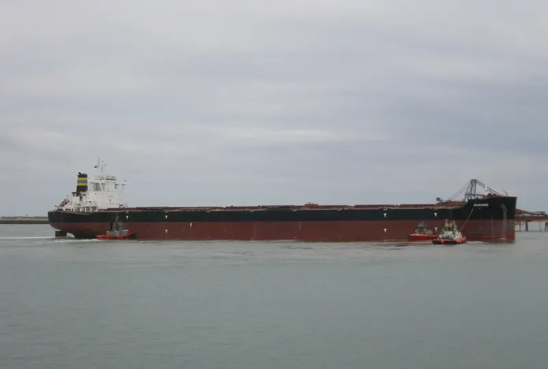 HUAHINE Bulk Carrier IMO 9587257 photo 5