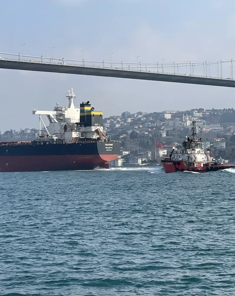 HUAHINE Bulk Carrier IMO 9587257 photo 10