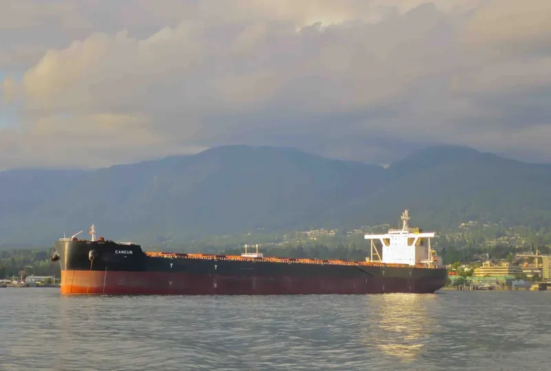 CANCUN Bulk Carrier IMO 9587269 photo 9