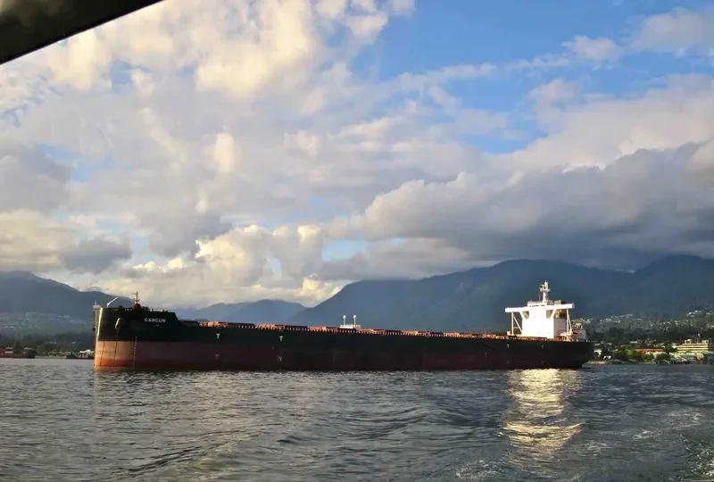 CANCUN Bulk Carrier IMO 9587269 photo 10