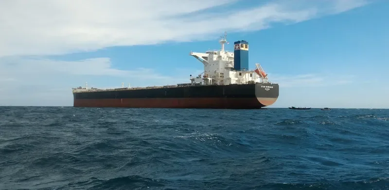 STAR BOREALIS Bulk Carrier IMO 9587386