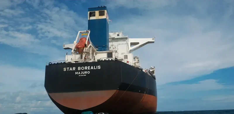 STAR BOREALIS Bulk Carrier IMO 9587386 photo 2