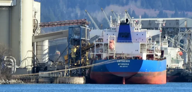 ANTHEMIS Bulk Carrier IMO 9587441 photo 4