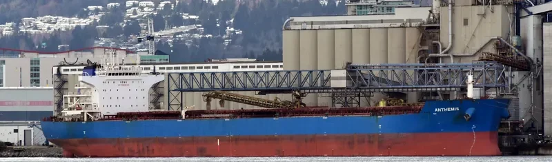 ANTHEMIS Bulk Carrier IMO 9587441 photo 6