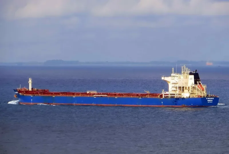 D SKALKEAS Bulk Carrier IMO 9587453