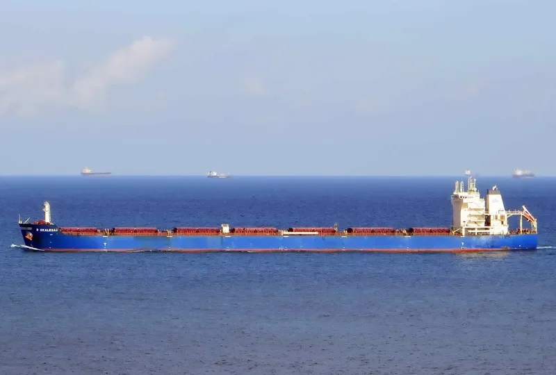 D SKALKEAS Bulk Carrier IMO 9587453 photo 2