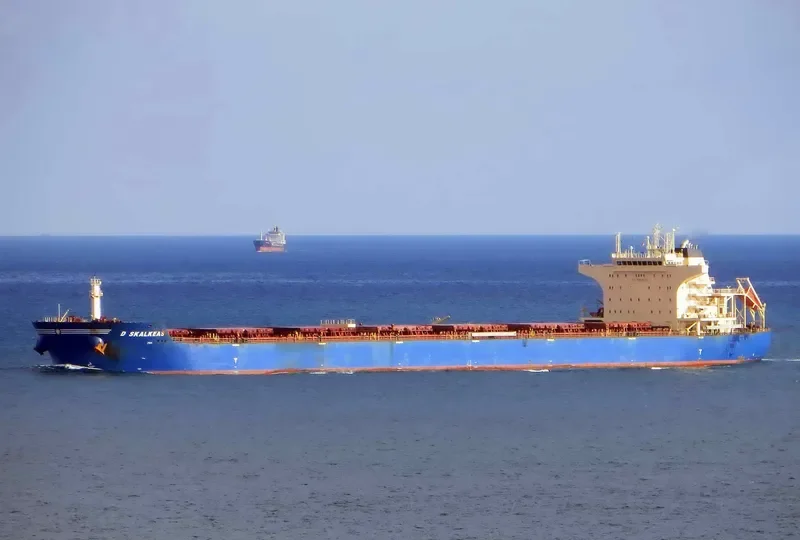 D SKALKEAS Bulk Carrier IMO 9587453 photo 3