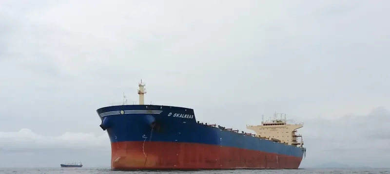 D SKALKEAS Bulk Carrier IMO 9587453 photo 4