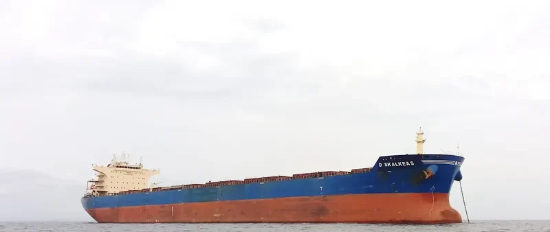 D SKALKEAS Bulk Carrier IMO 9587453 photo 5