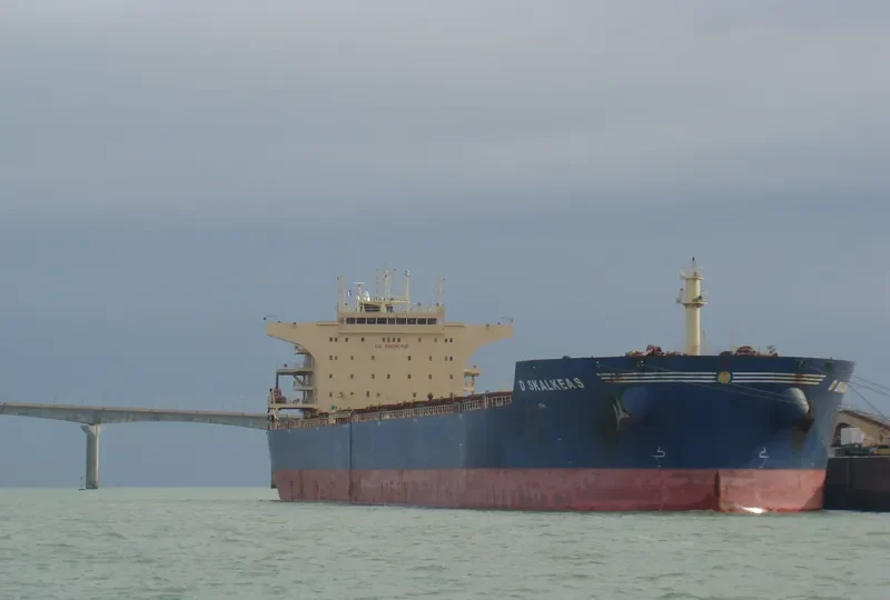 D SKALKEAS Bulk Carrier IMO 9587453 photo 9