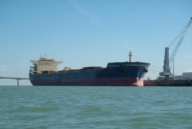 D SKALKEAS Bulk Carrier IMO 9587453 photo 10
