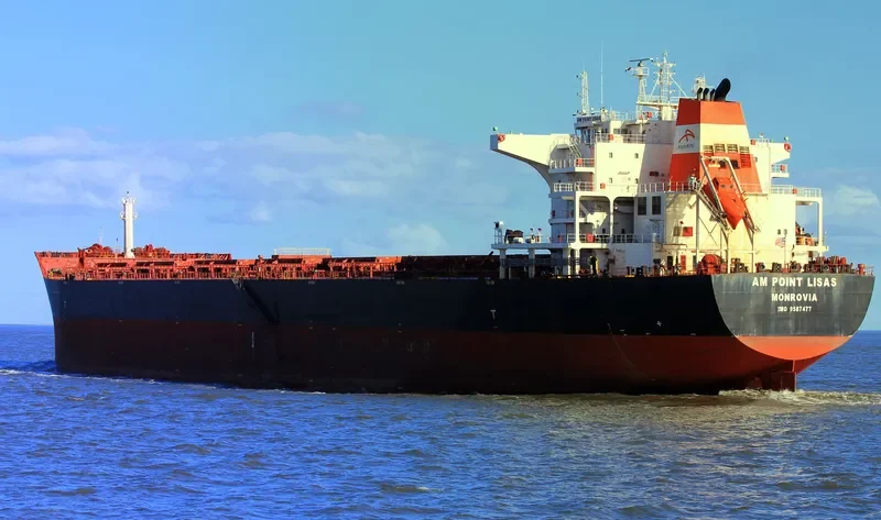 AM POINT LISAS Bulk Carrier IMO 9587477