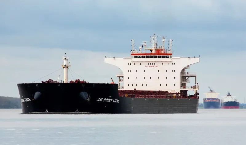 AM POINT LISAS Bulk Carrier IMO 9587477 photo 3