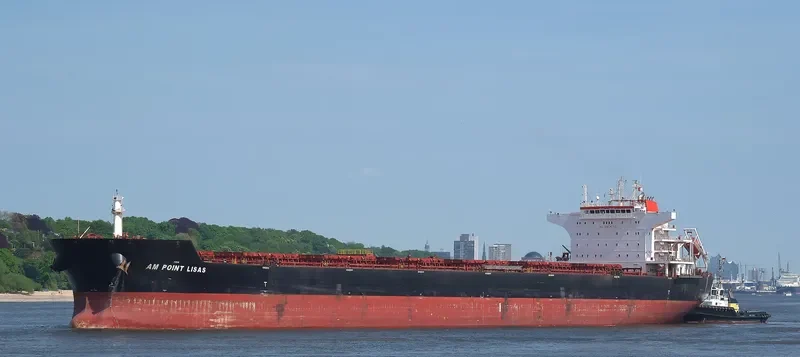 AM POINT LISAS Bulk Carrier IMO 9587477 photo 7