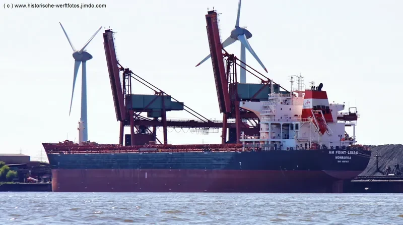 AM POINT LISAS Bulk Carrier IMO 9587477 photo 9