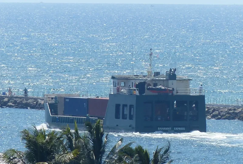 BAHAMAS EXPRESS Bulk Carrier IMO 9587489