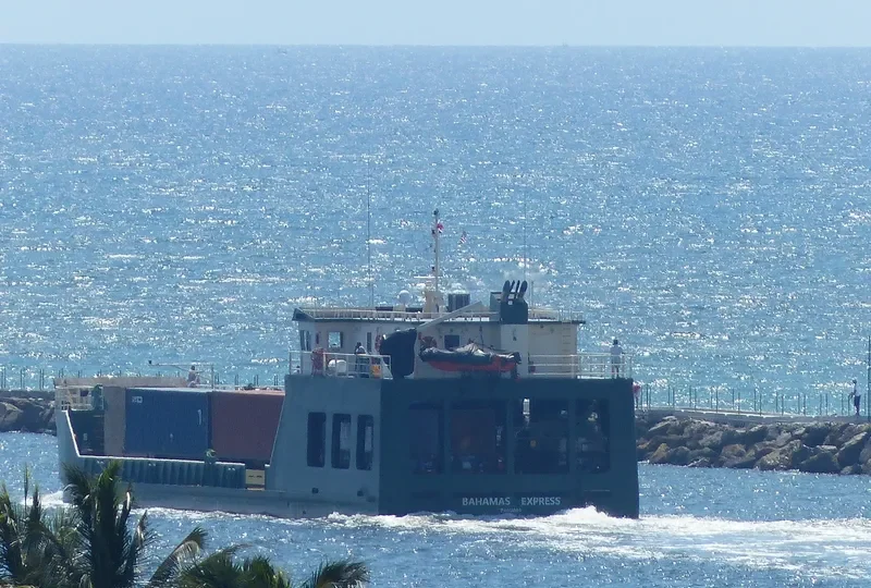 BAHAMAS EXPRESS Bulk Carrier IMO 9587489 photo 2