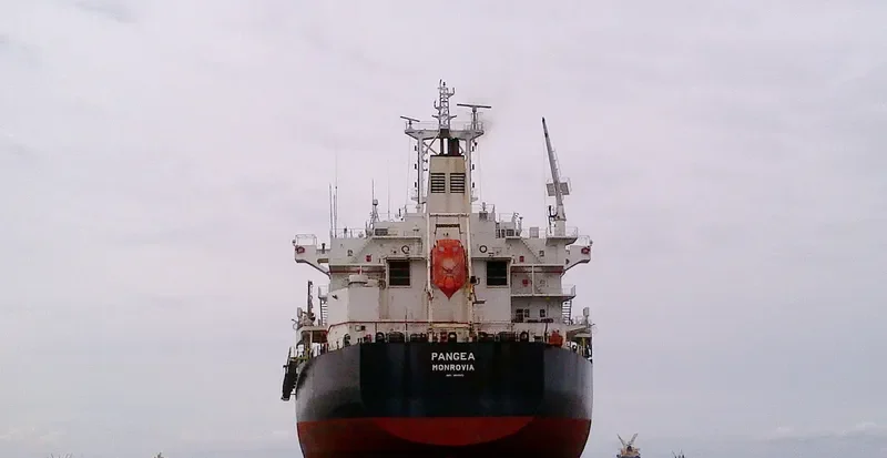 PANGEA Bulk Carrier IMO 9587879 photo 3